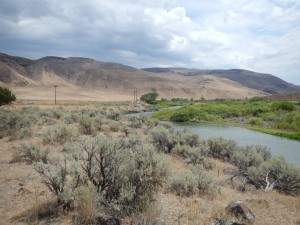 2016 Malheur River Site 9 Downstream